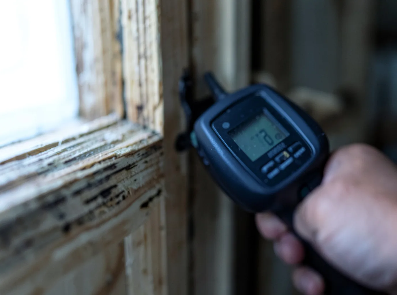 Moisture Inspection And Documentation in Crystal Lake, IL